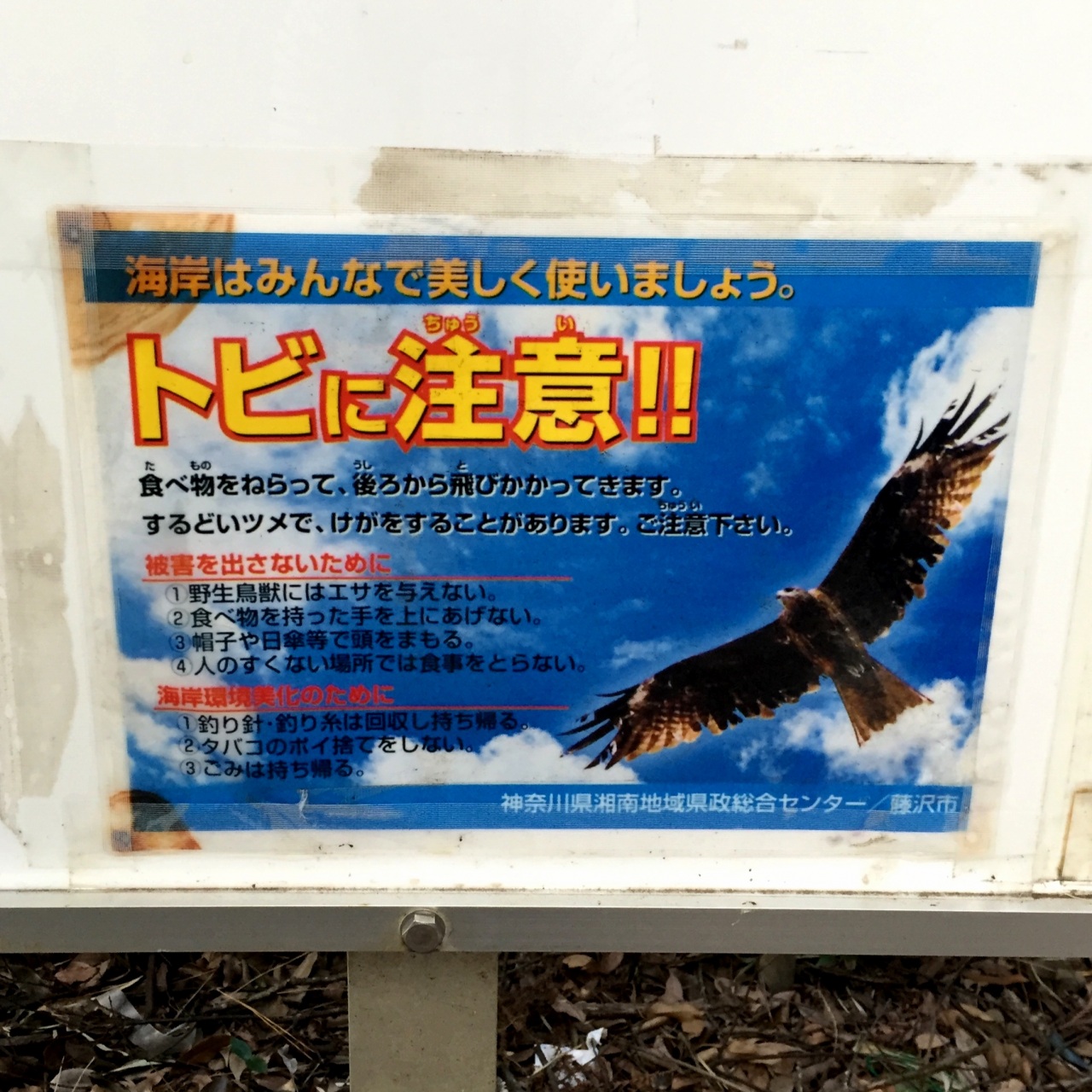 �g���r