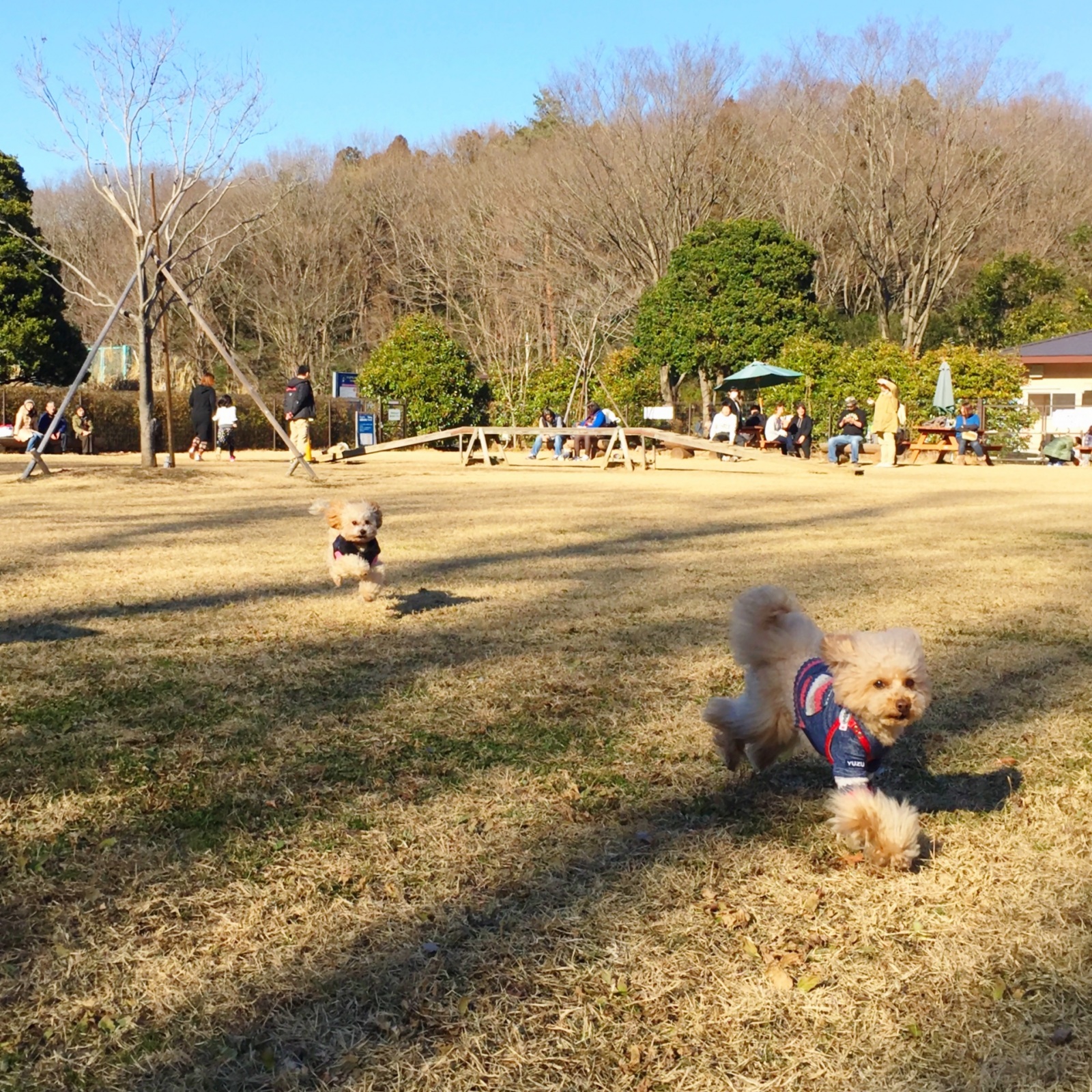 �҂��ā`��