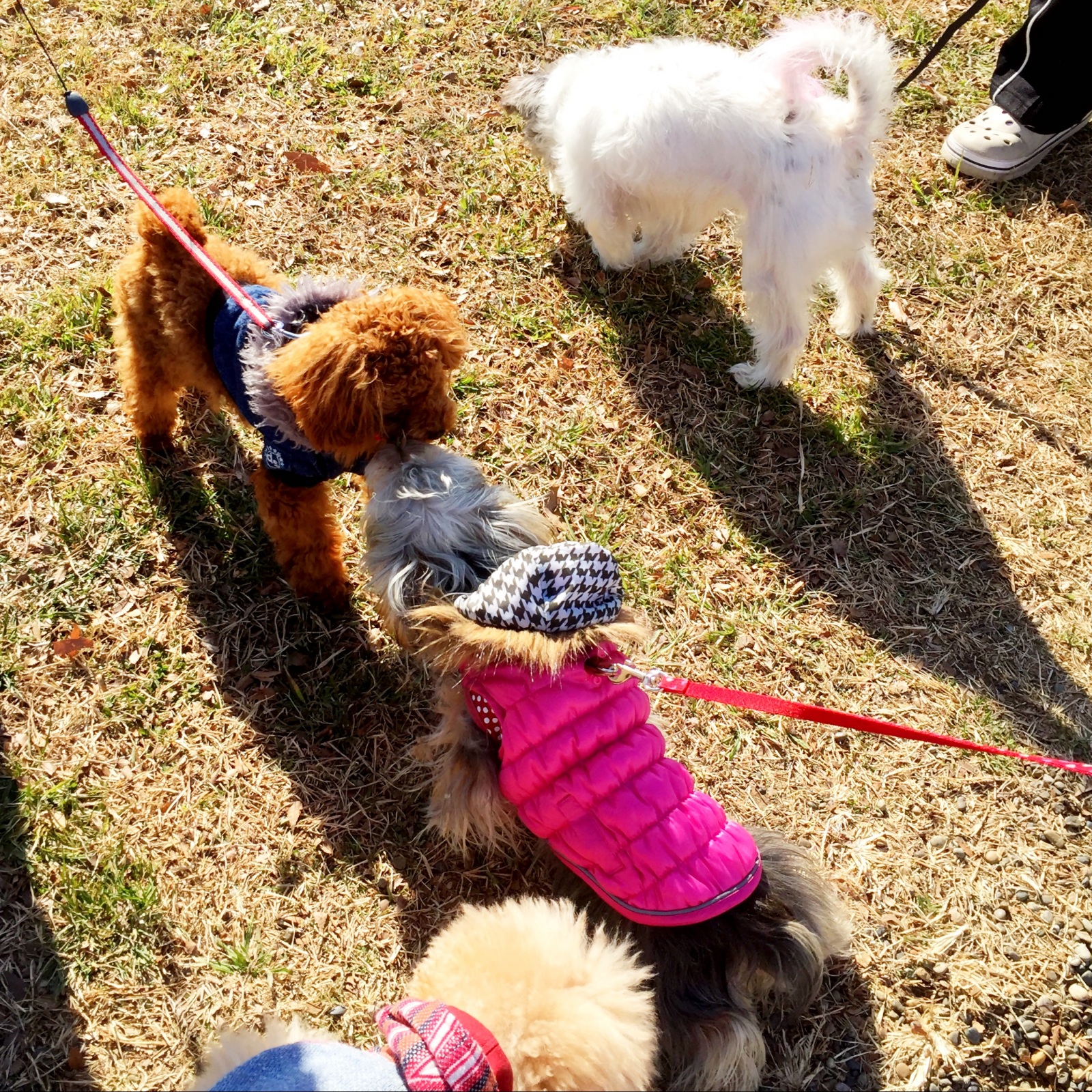 �I���Ȃ��W��