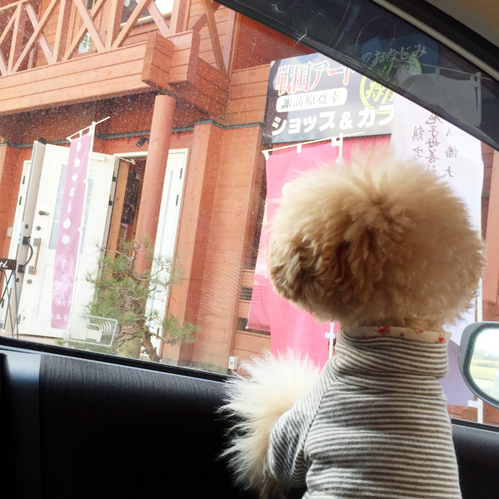 @�퍑�����V���b�v