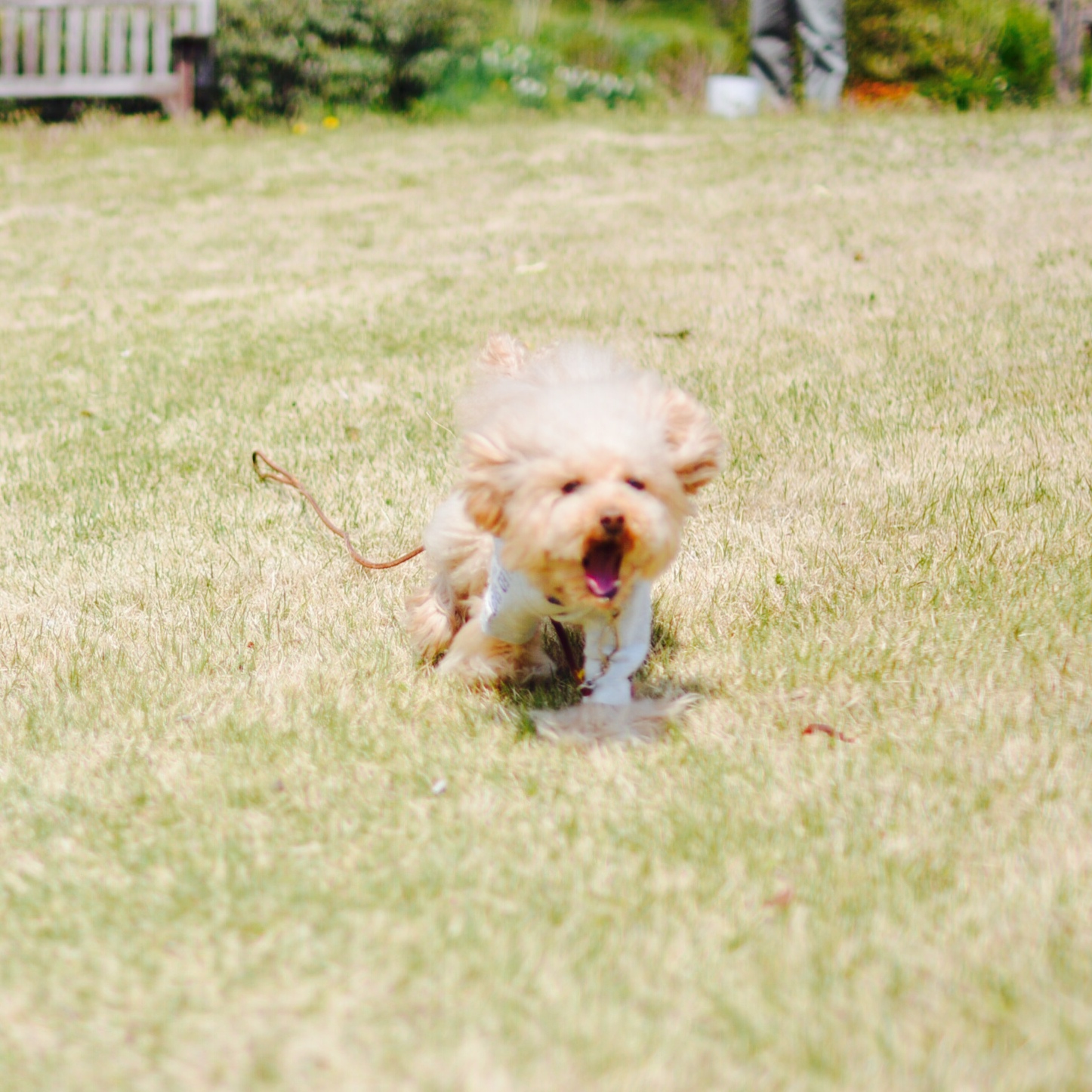 �L���[��