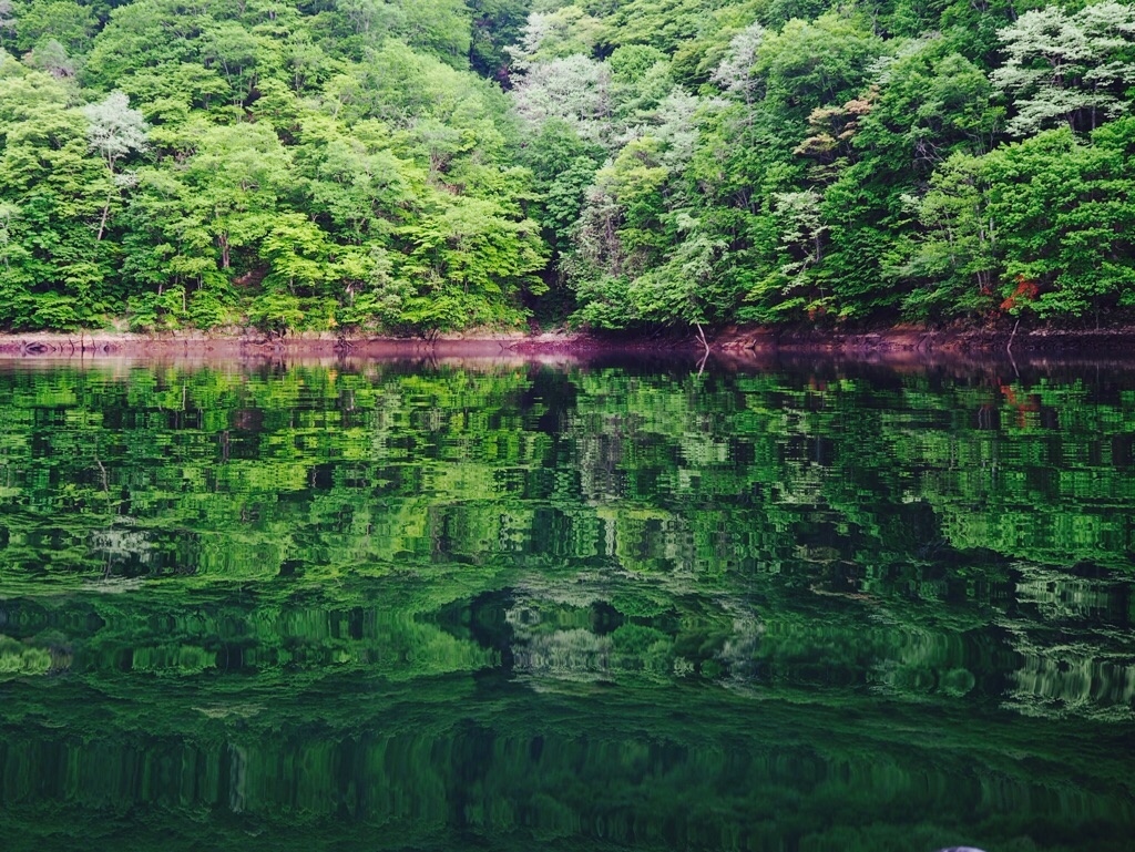���̓��͒��̓�