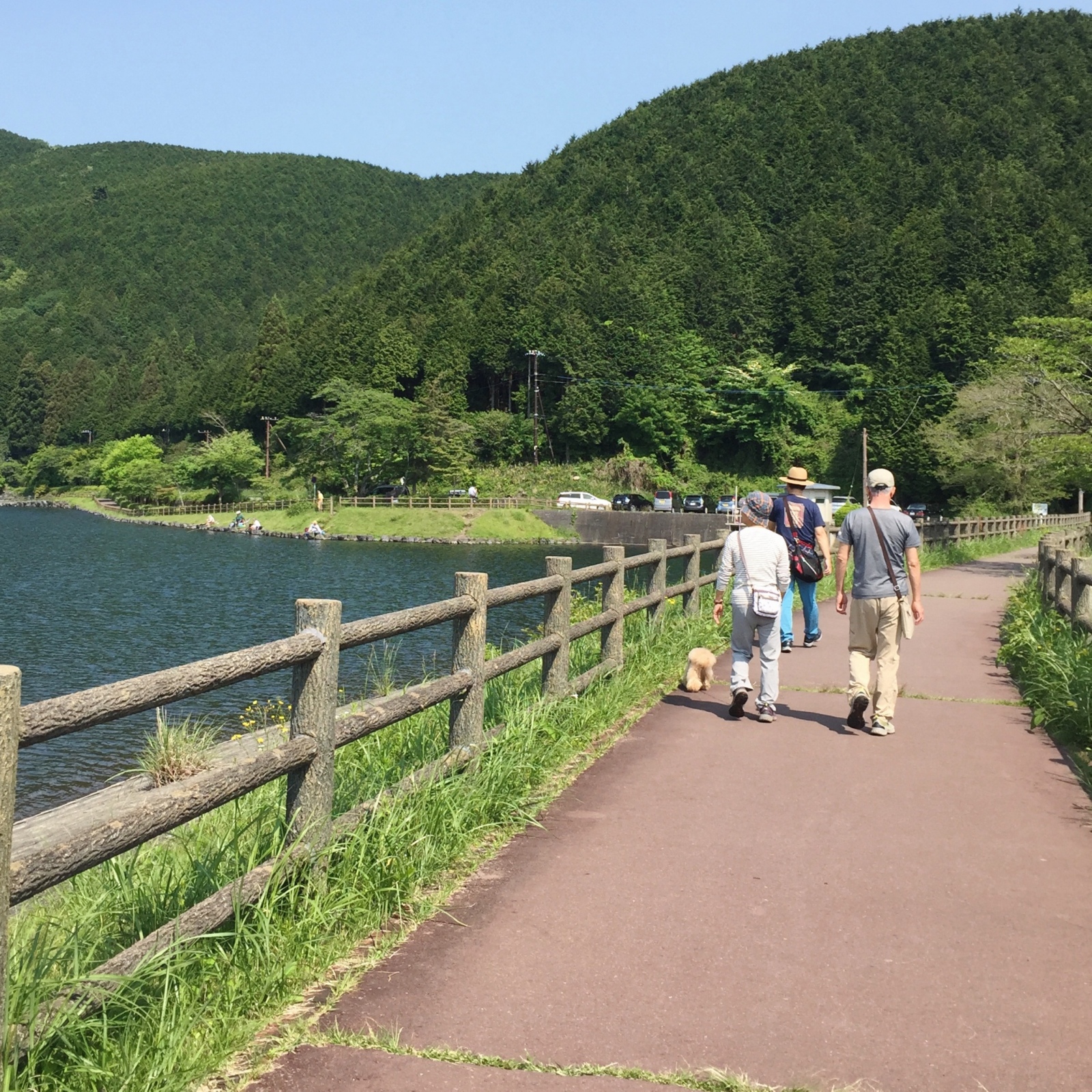 �n�C�L���O��