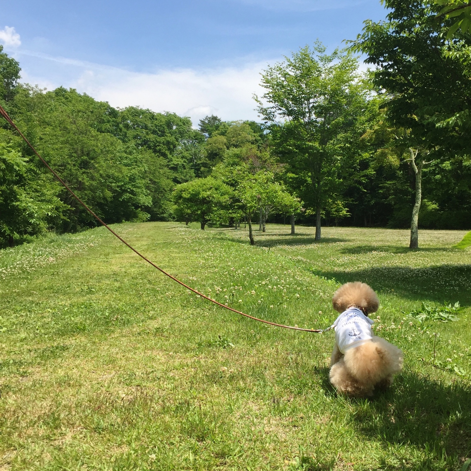 �`�b�`��