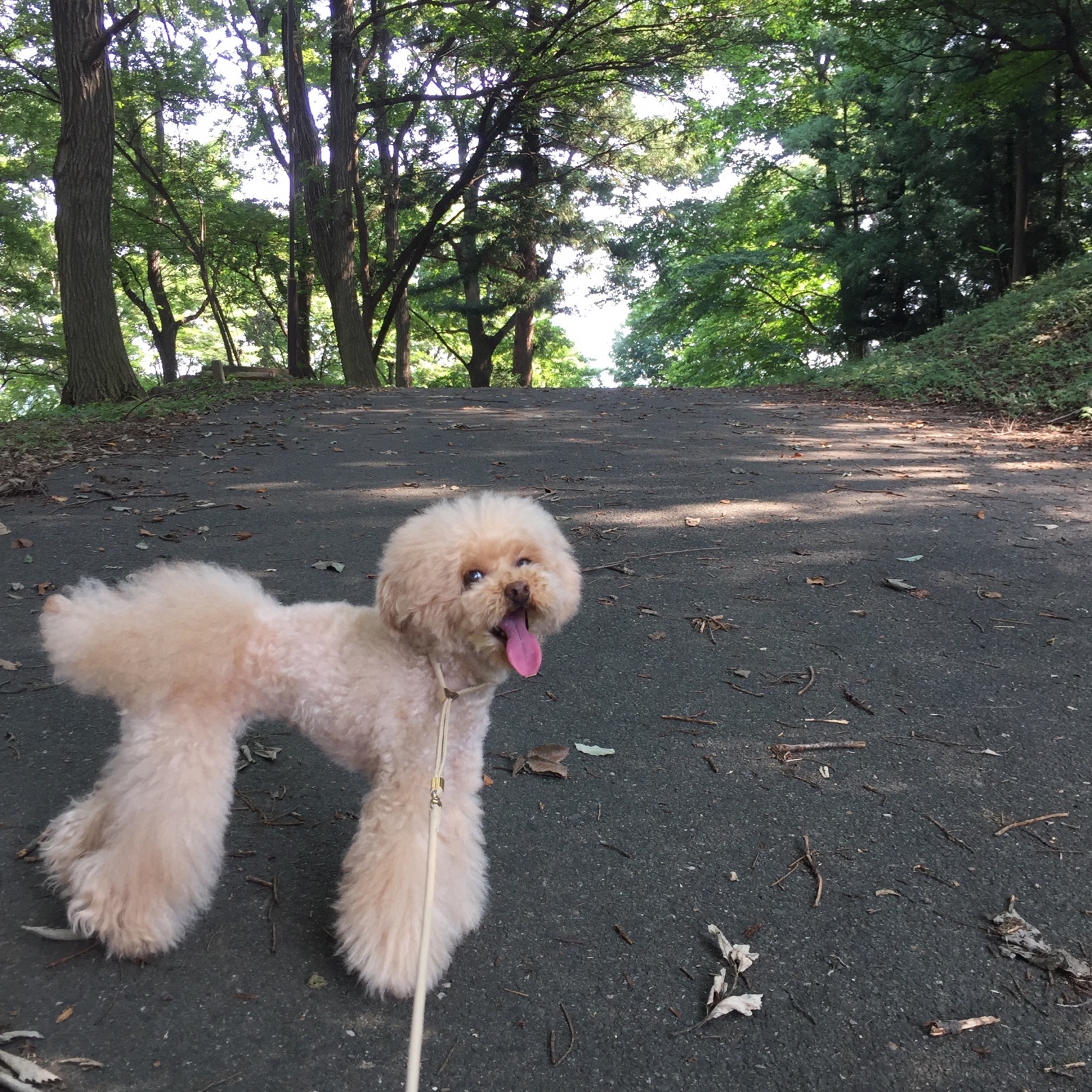 �a�@�r����