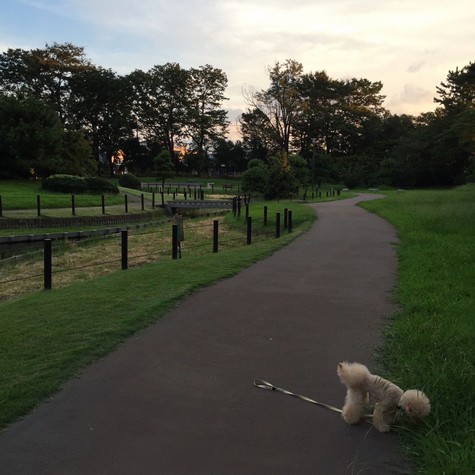 �N���N��