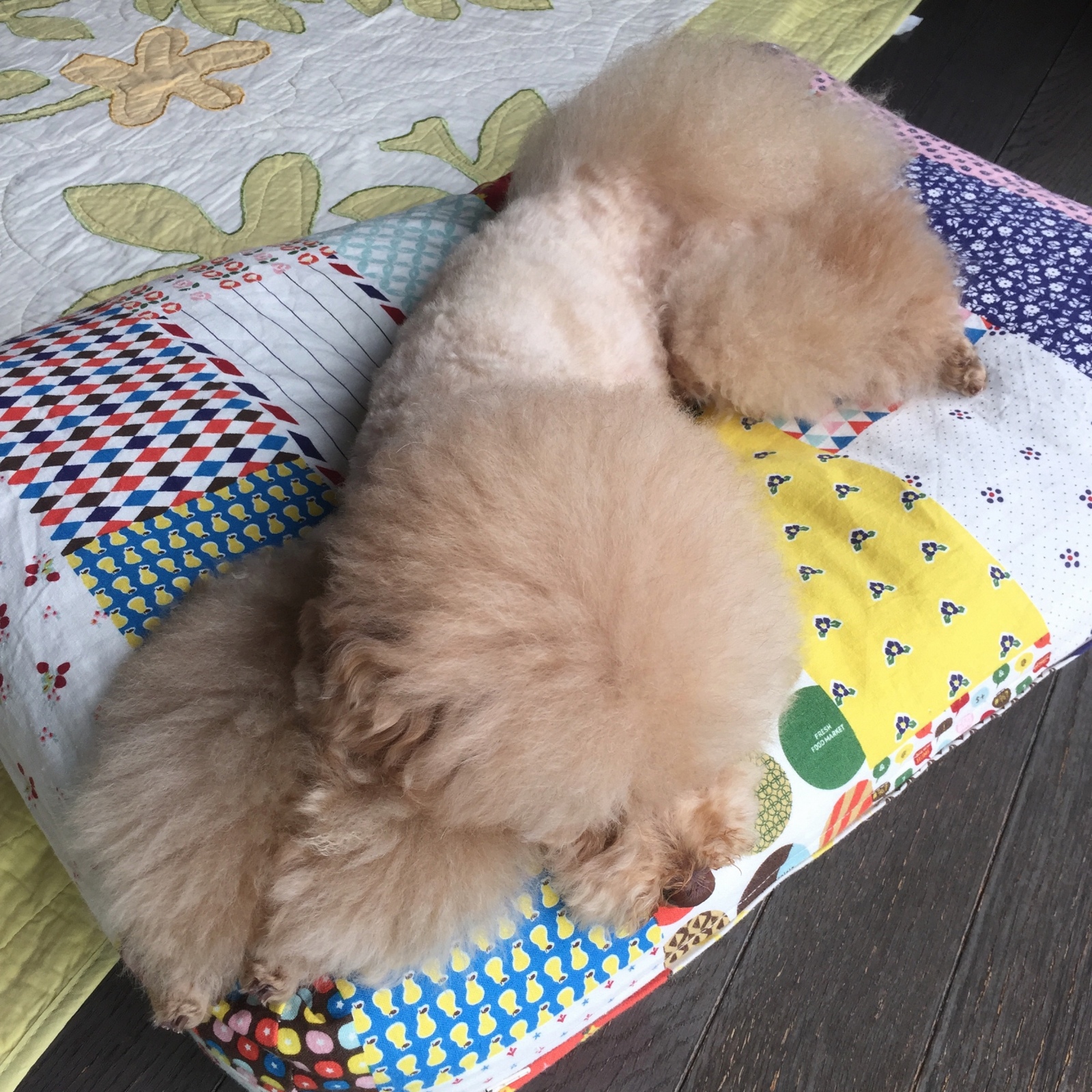 �I�[���V�U�[�J�b�g