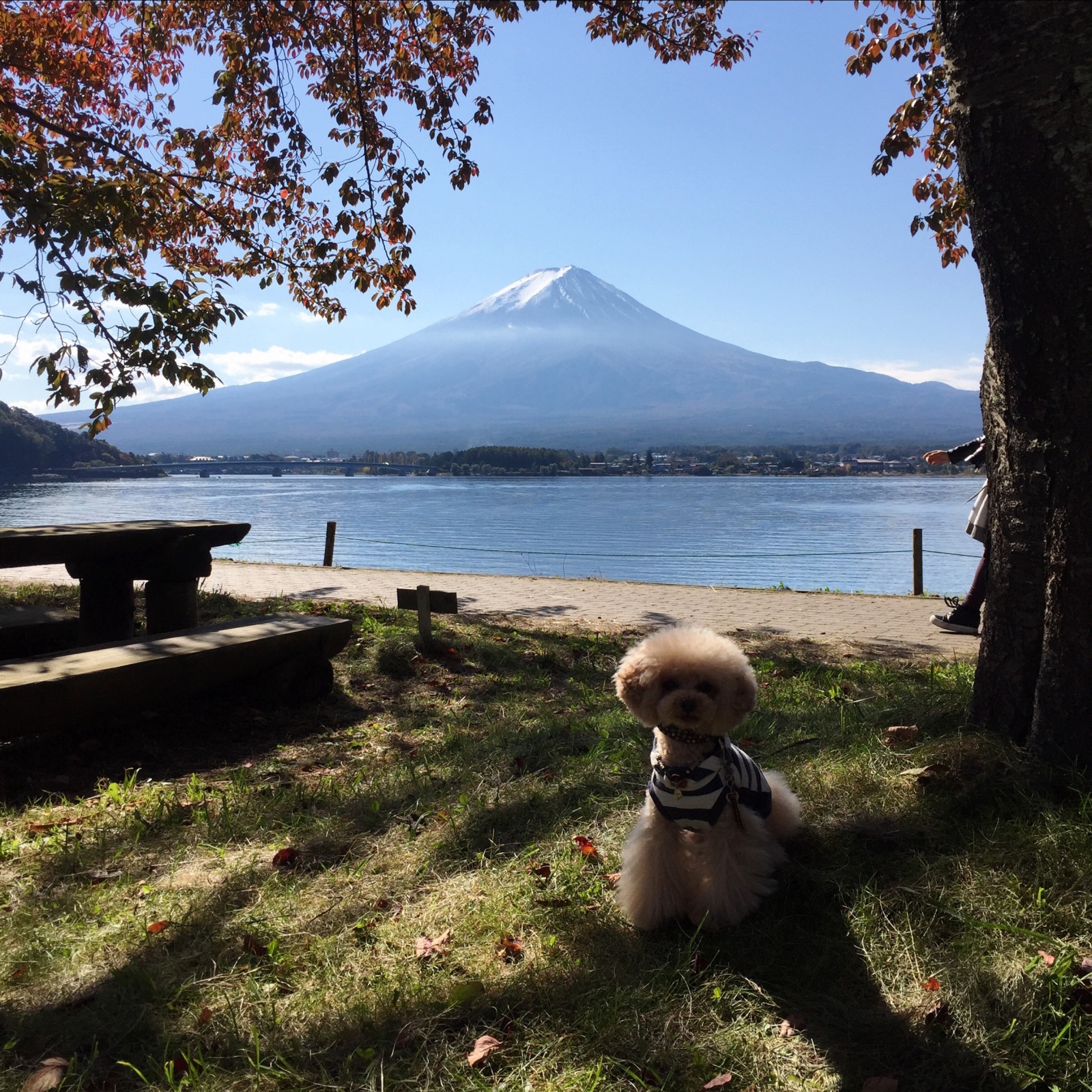 �t��������