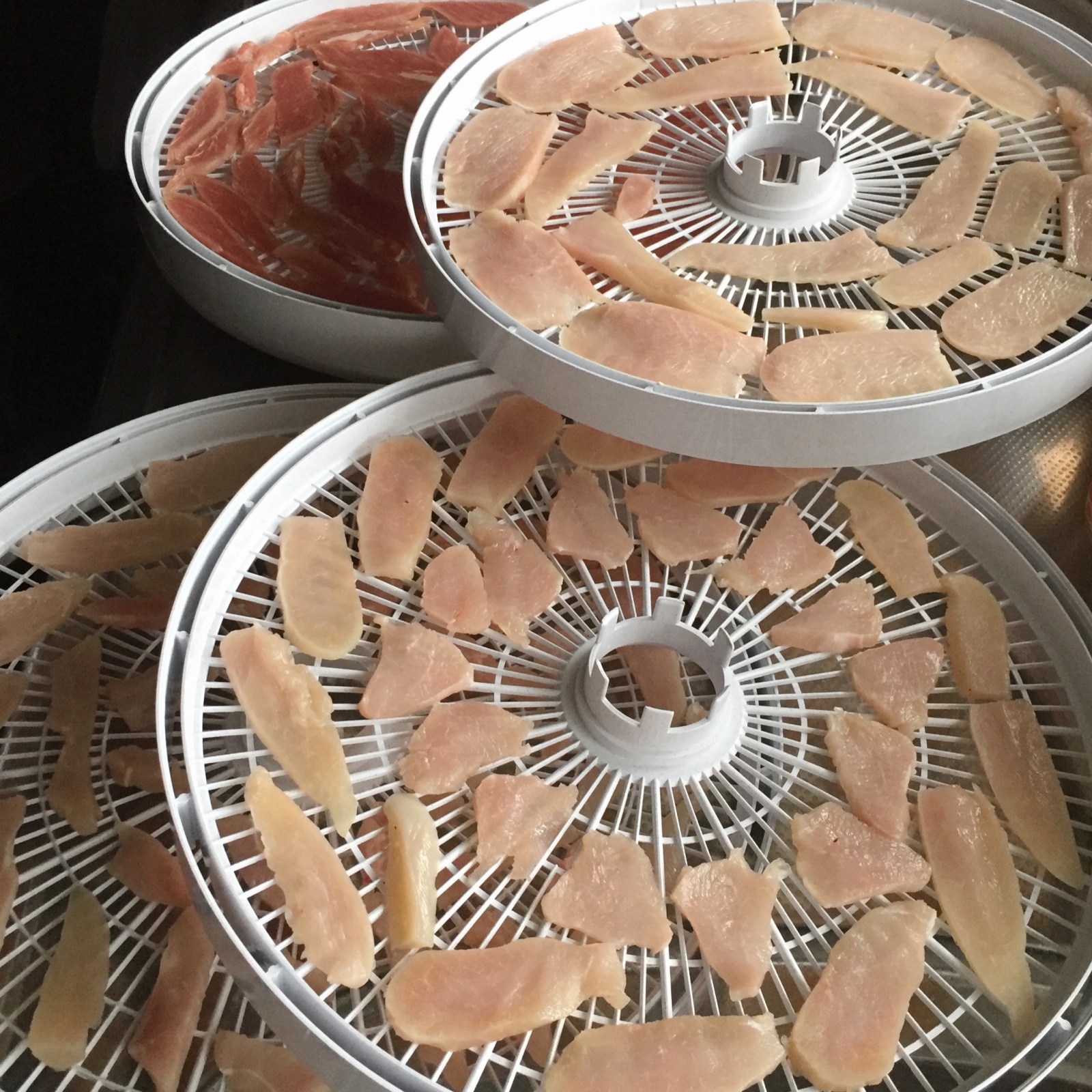 �W���[�L�[���