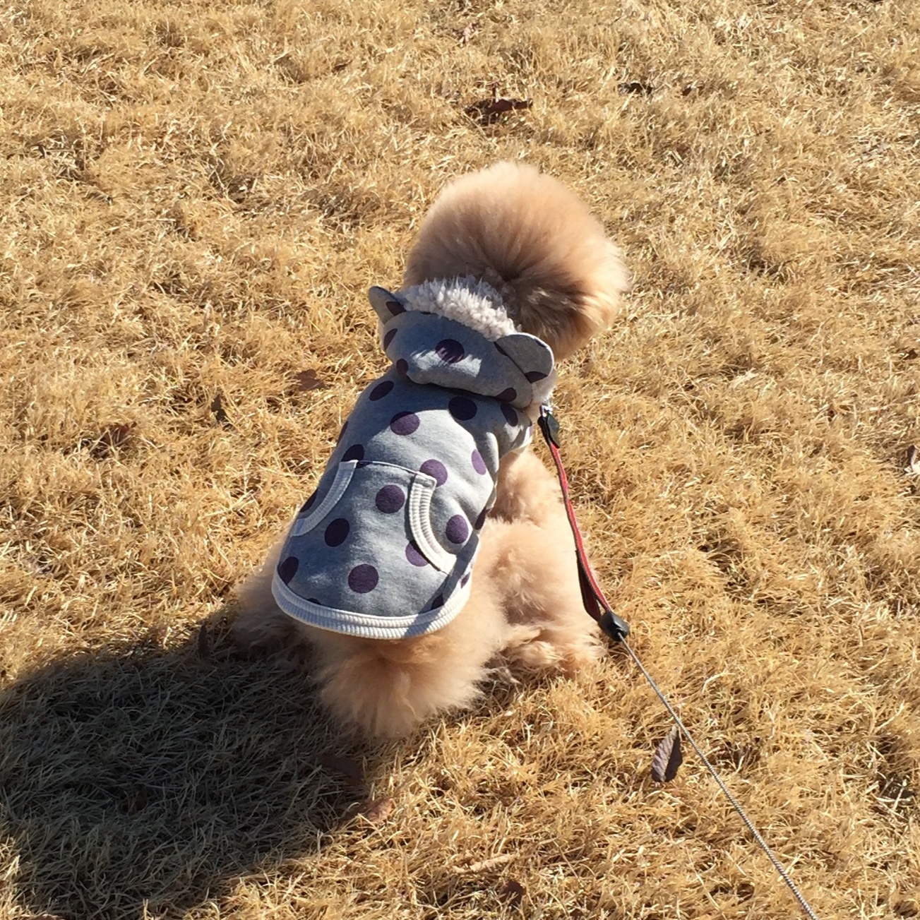 ���ɂ�[��