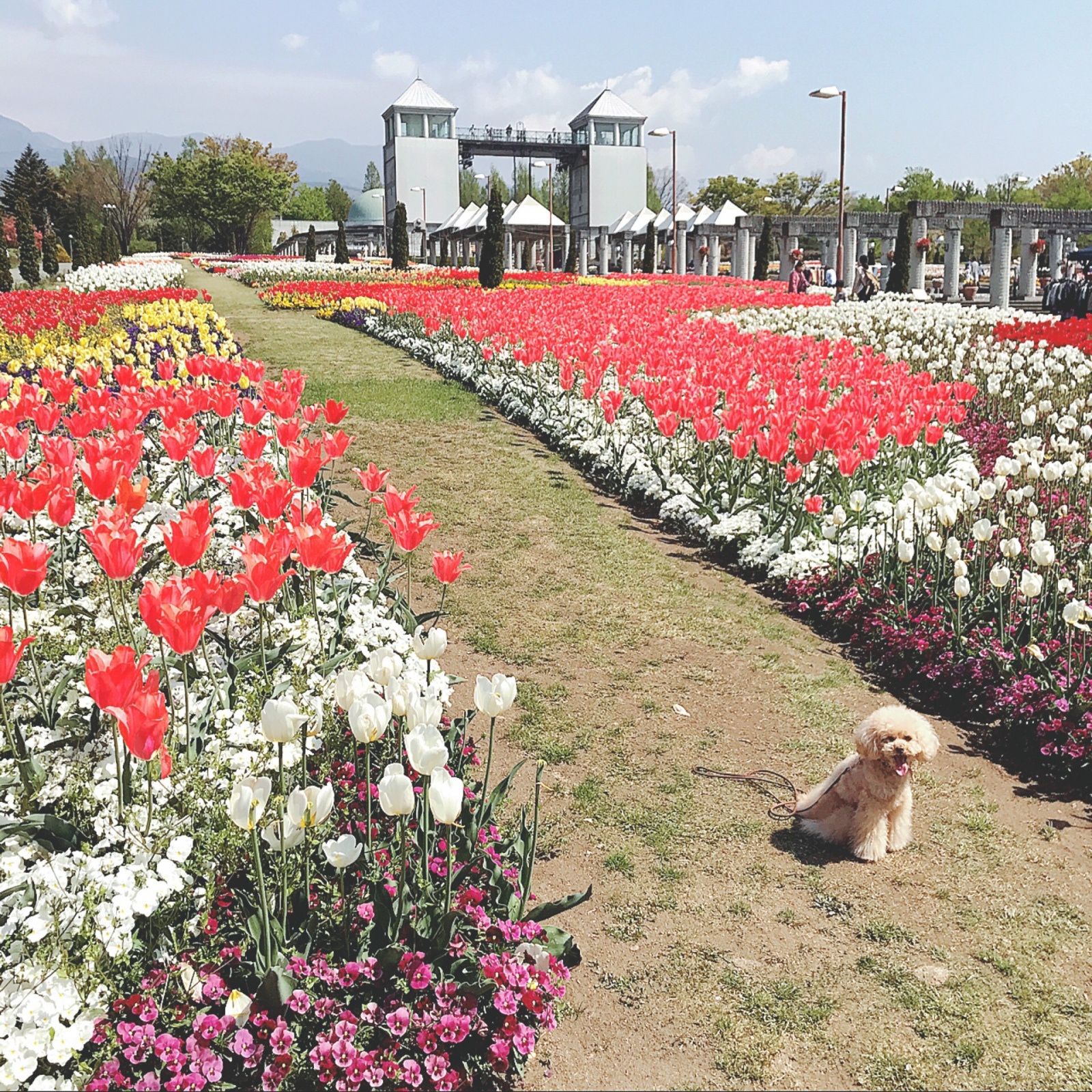 �t���p�[