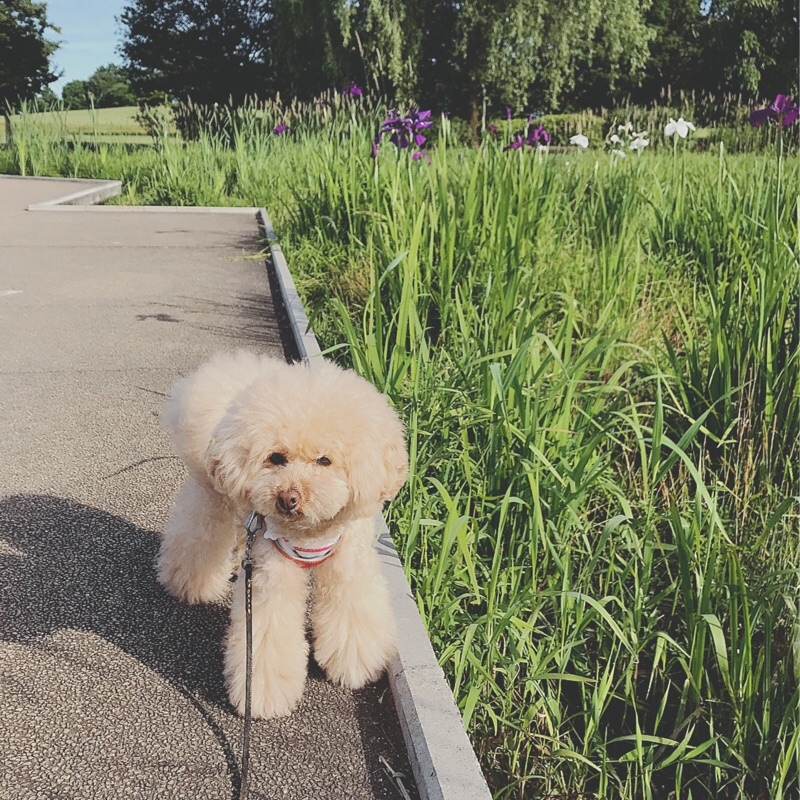 �������