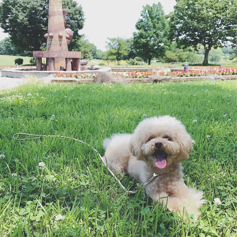 �����Ă��܁[��