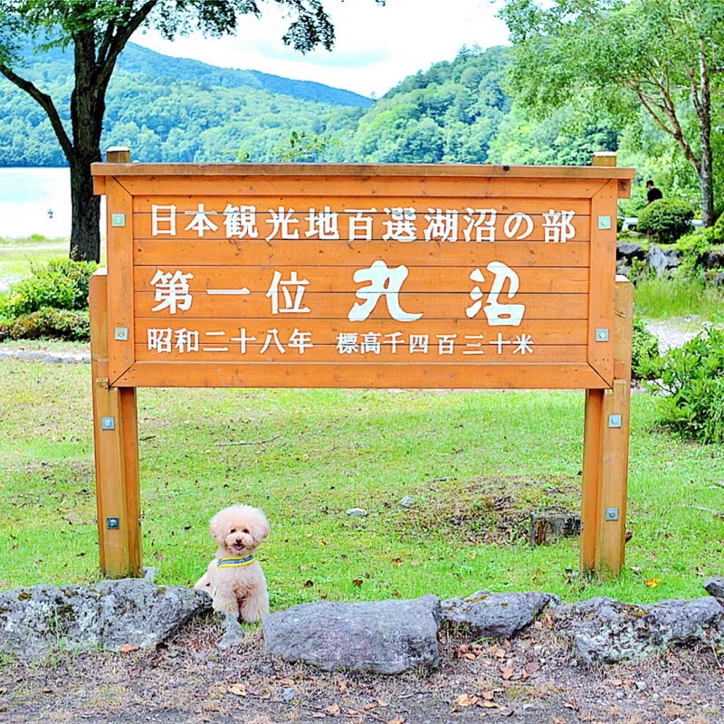 �����̊ۏ�