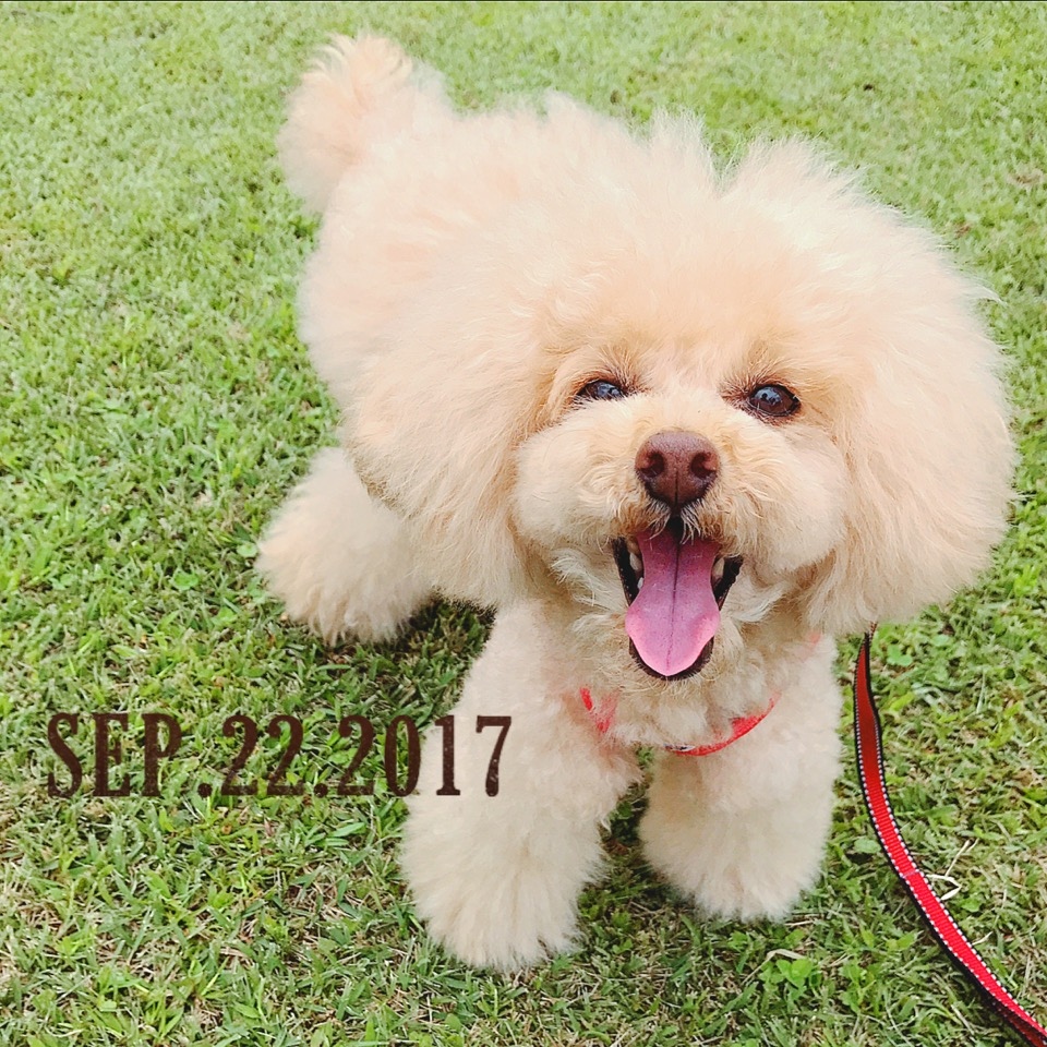 �J�~��O��