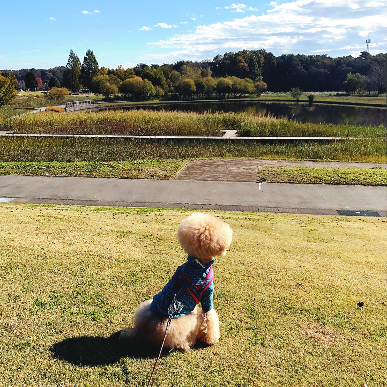 �������