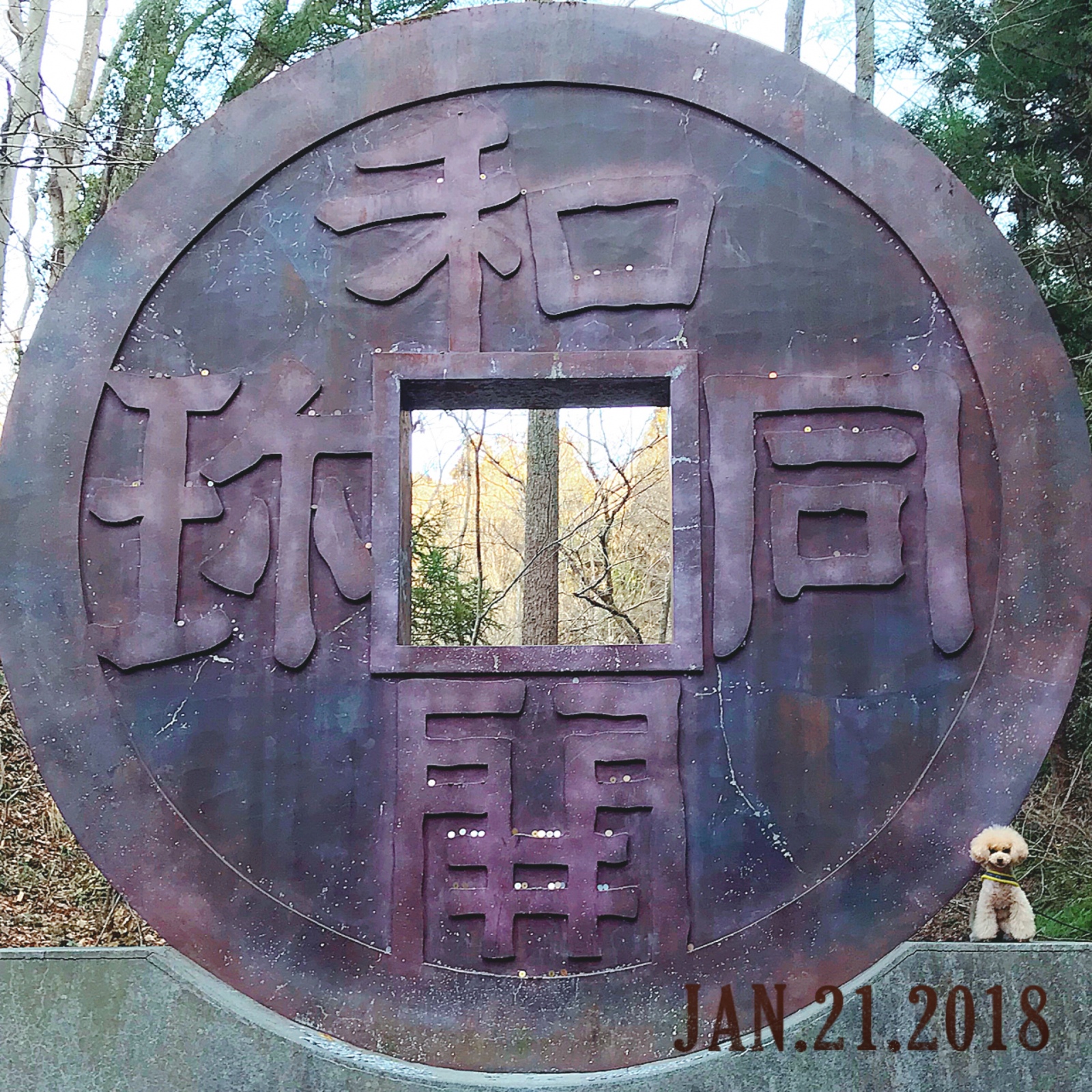 ���{�ʉݔ��˂̒n