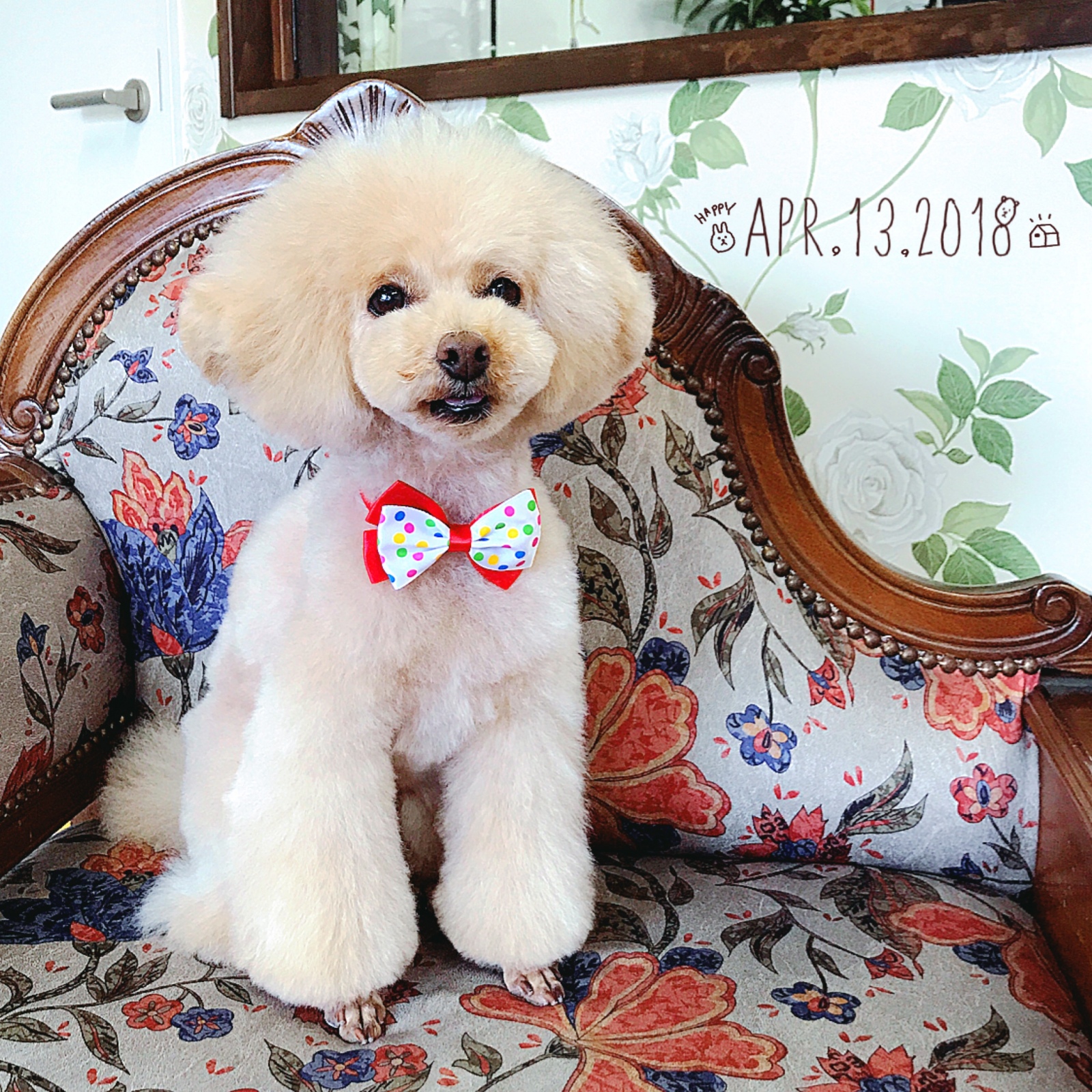 �g���~���O