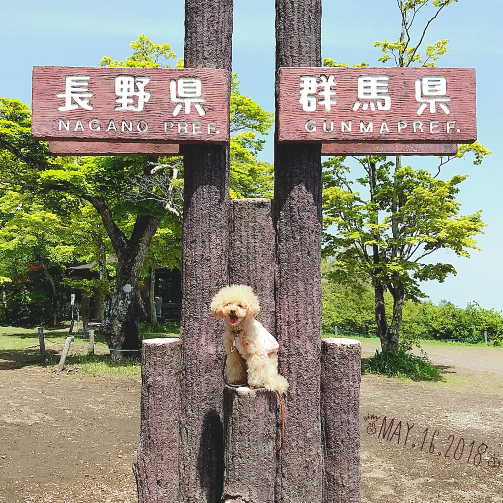 �䂸���������