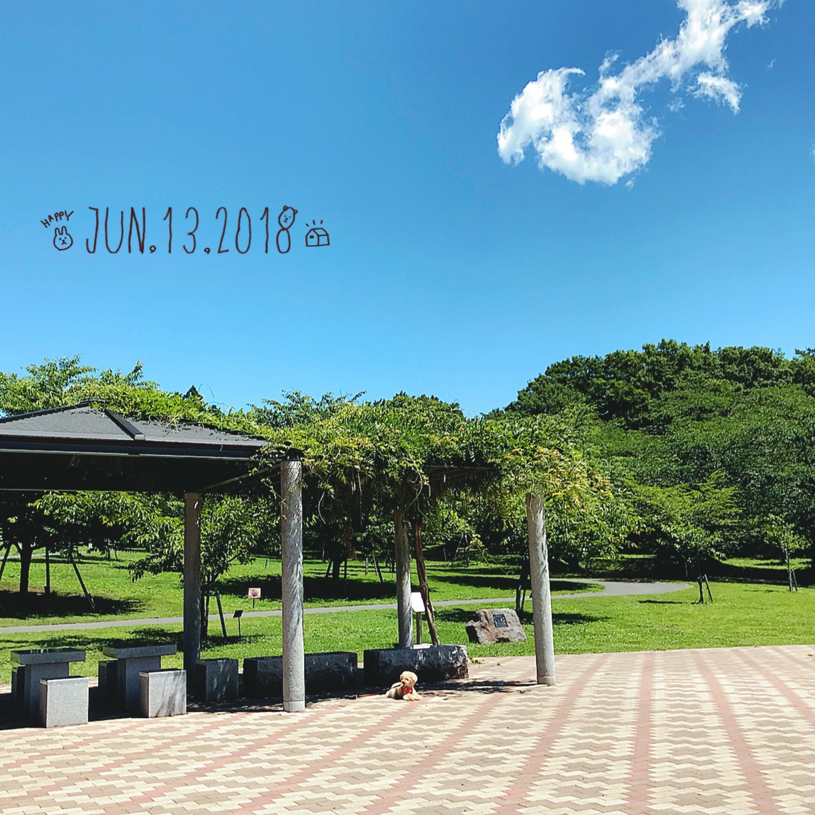�䕗���