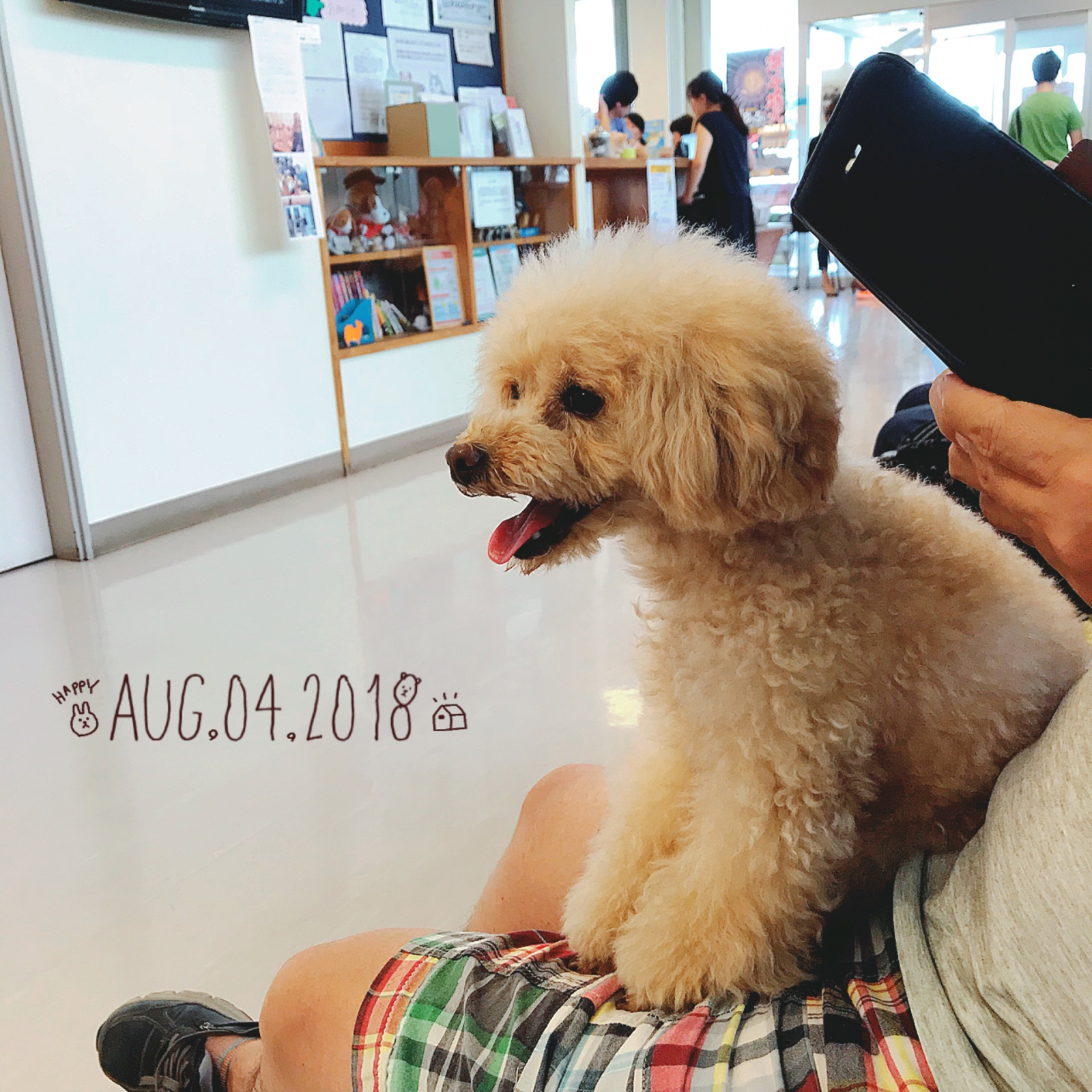 �a�@