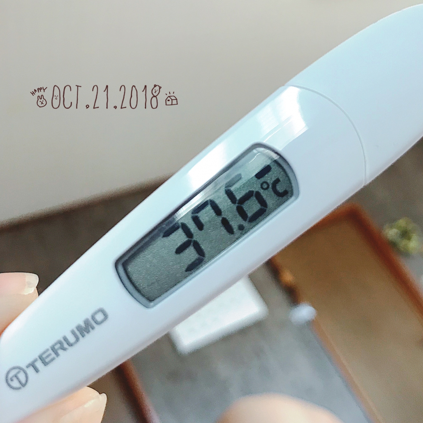 ���M�p����