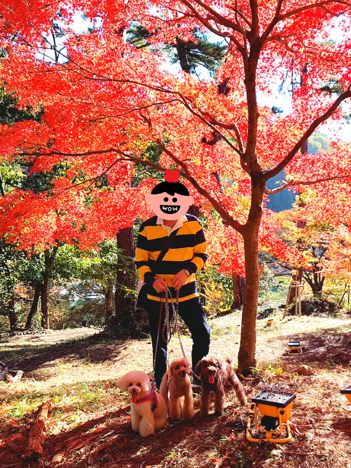 ���� ���̐΂��݂�����
