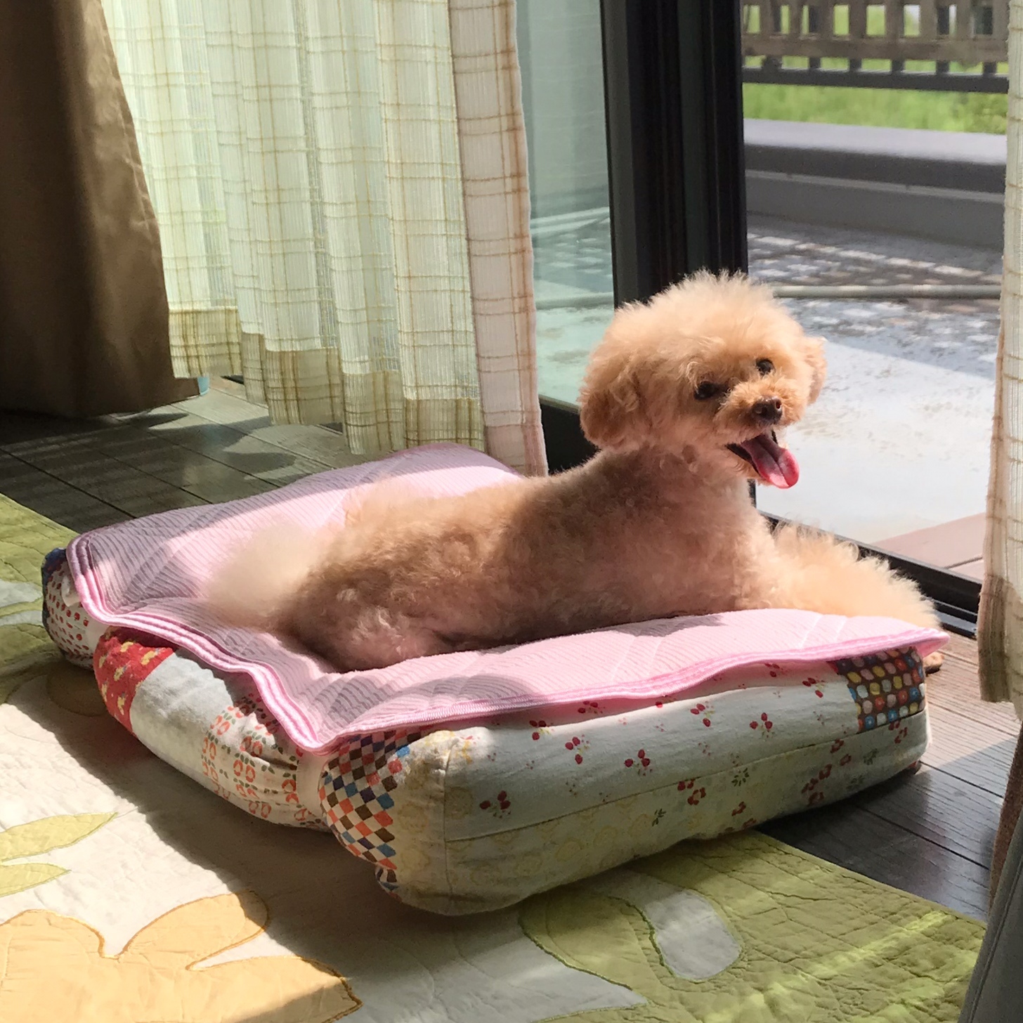 �T����