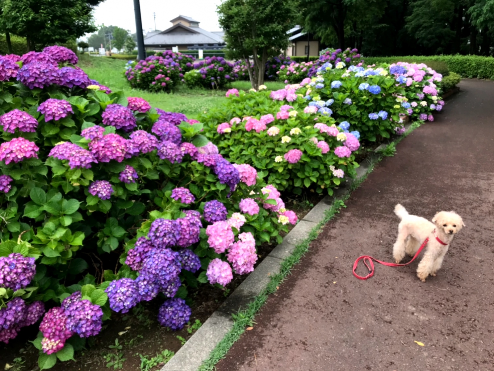 ���E����